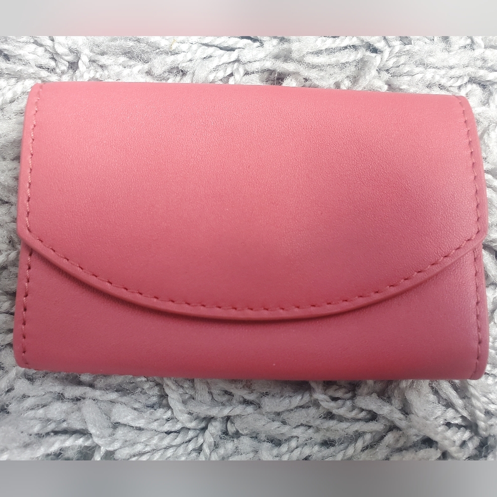 Never Used Skagen Card Case